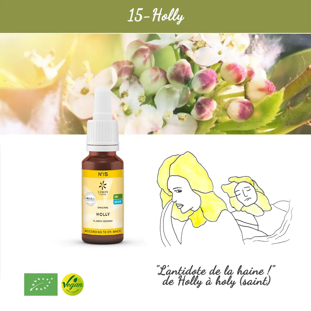 stechpalme bachblüten 15. Stechpalme – Bioligo