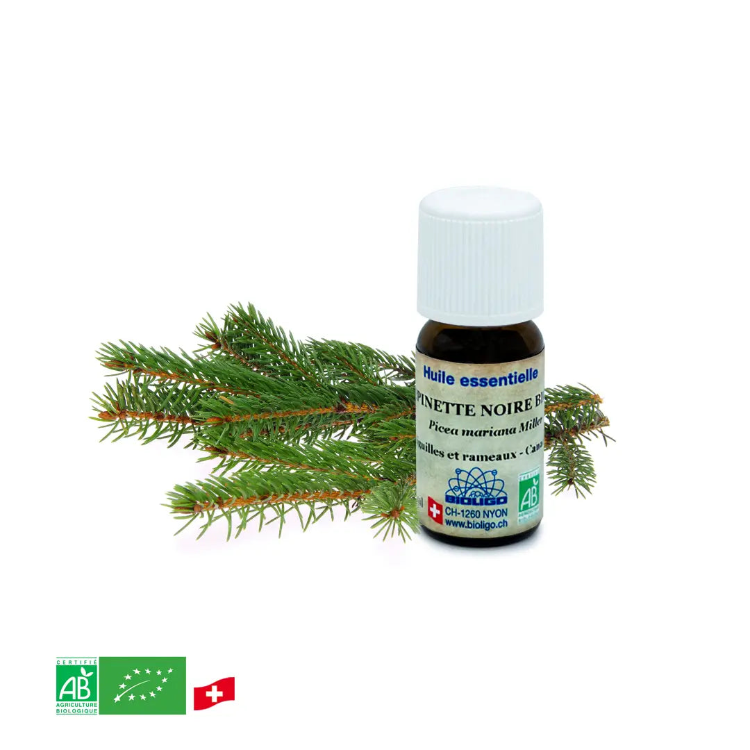 Epinette noire BIO