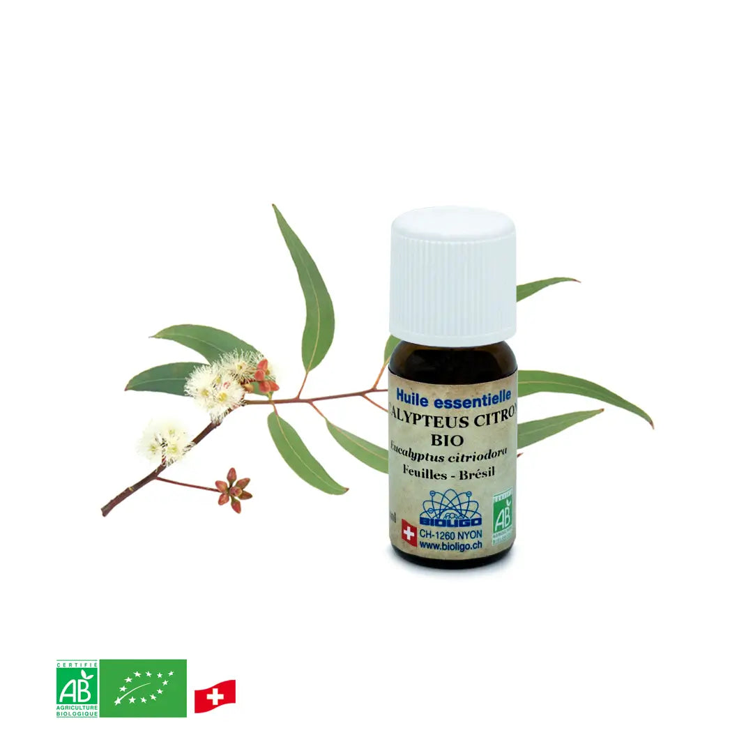 Bio-Zitronen-Eukalyptus
