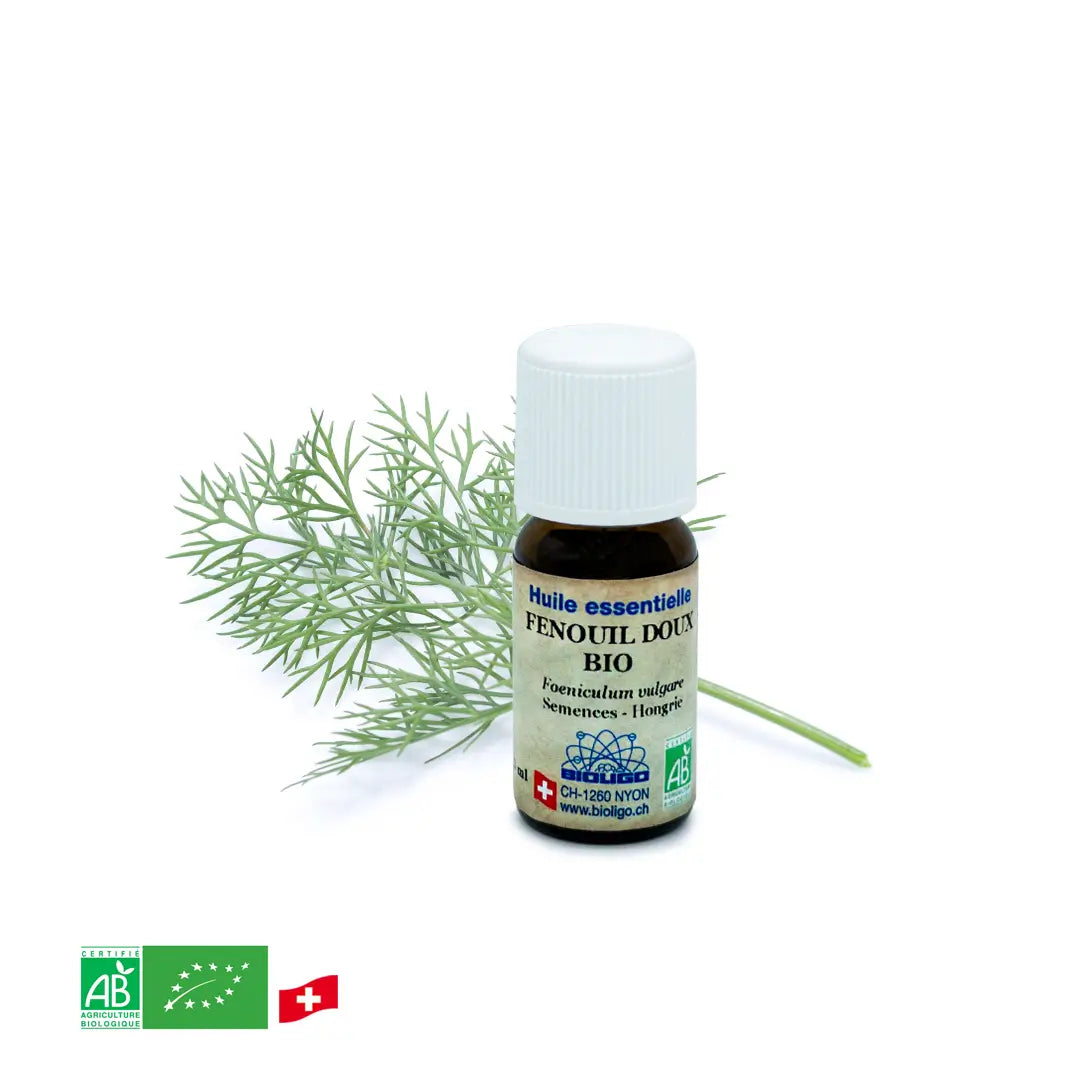 Bio-Süßfenchel