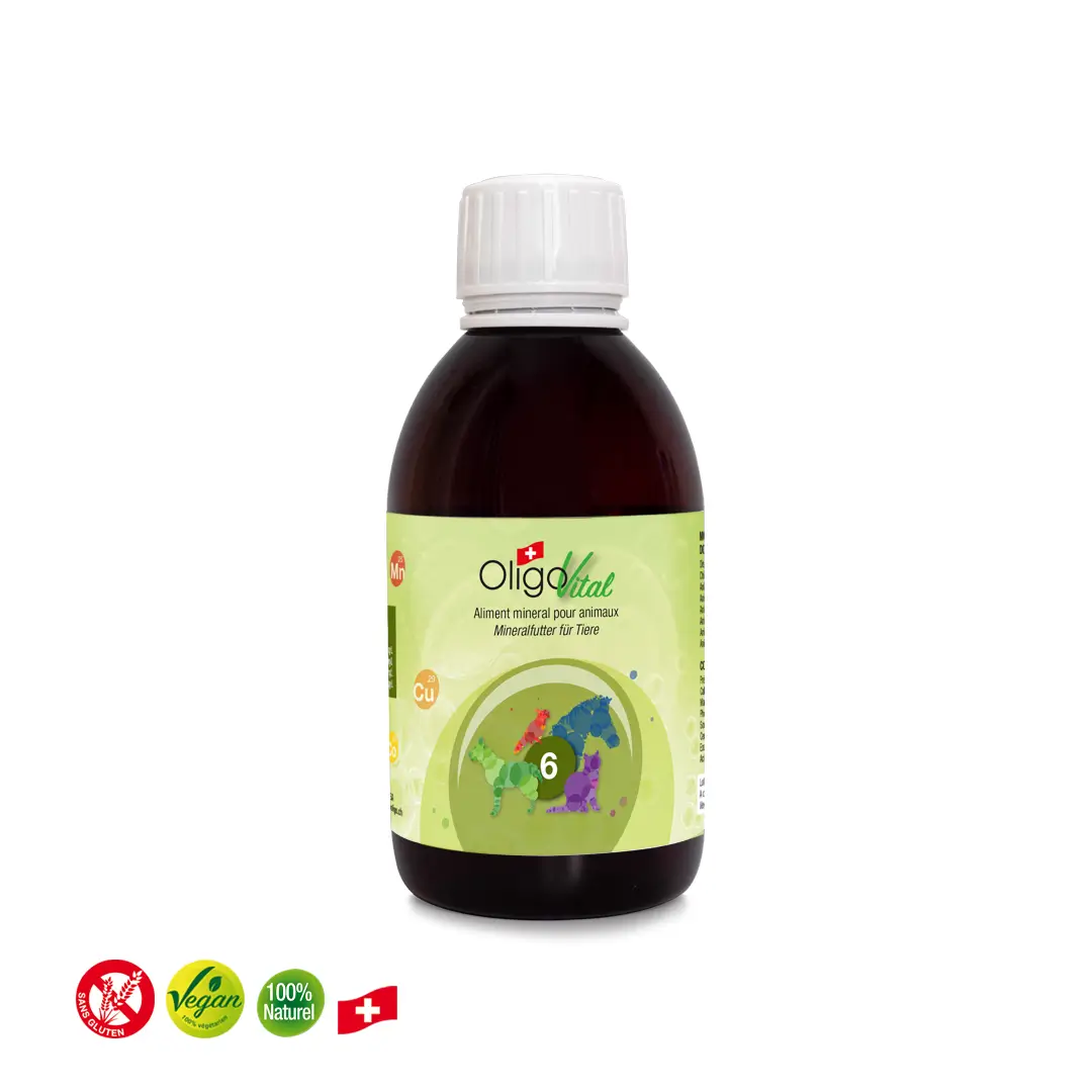 Oligovital 6