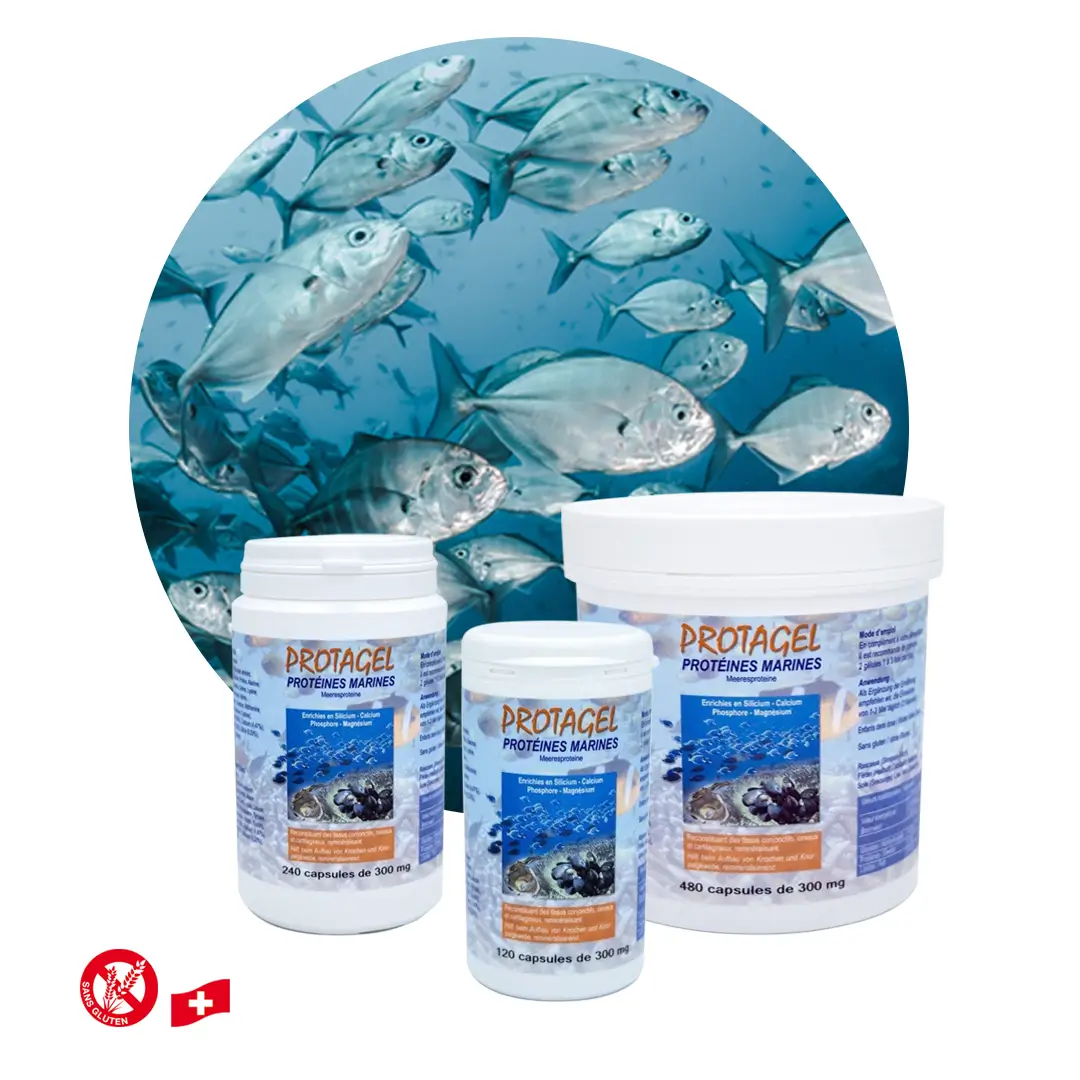 Protagel, Marine Proteine