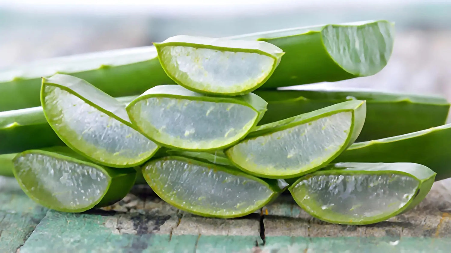 Aloe vera, ses bienfaits