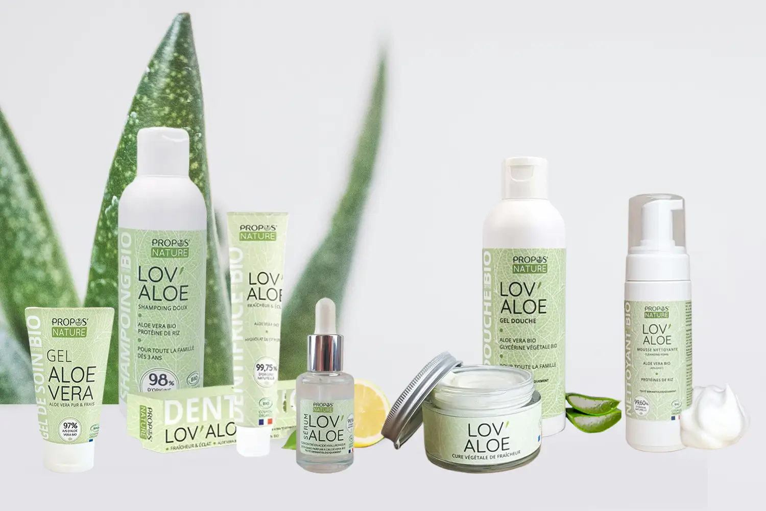 Aloe vera, ses bienfaits
