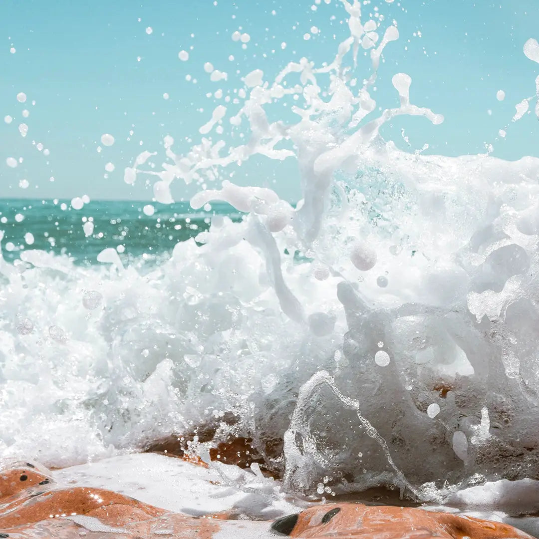 Plasma marin Quinton