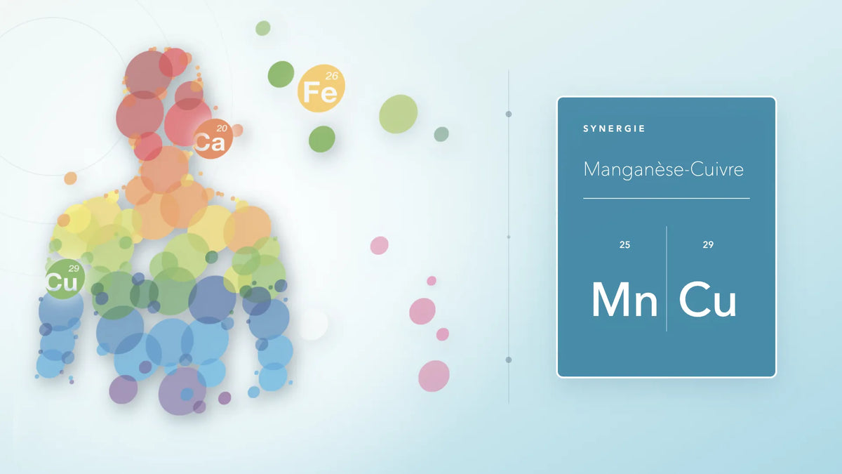 Manganèse-cuivre, oligoéléments