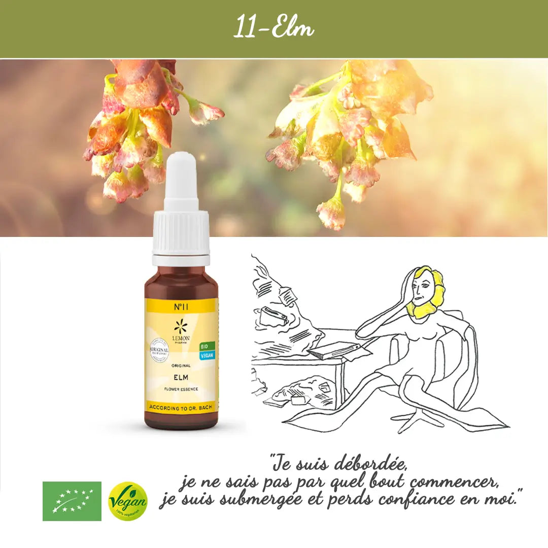 11. Elm