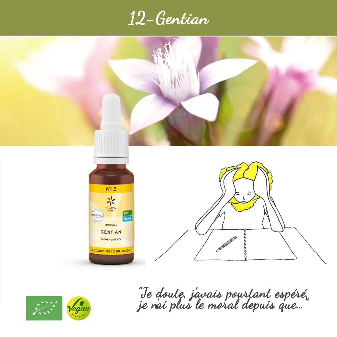 12. Gentian