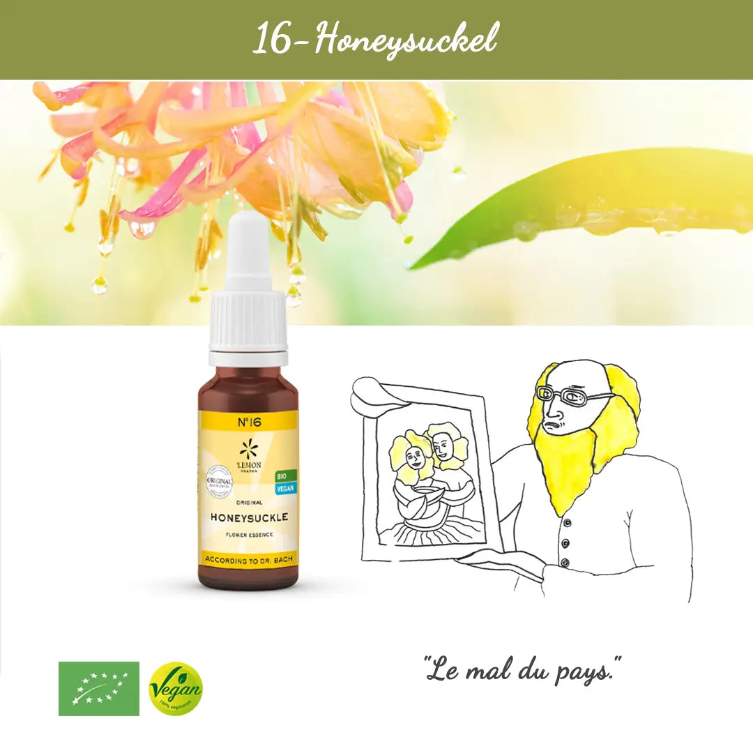 16. Honeysuckle