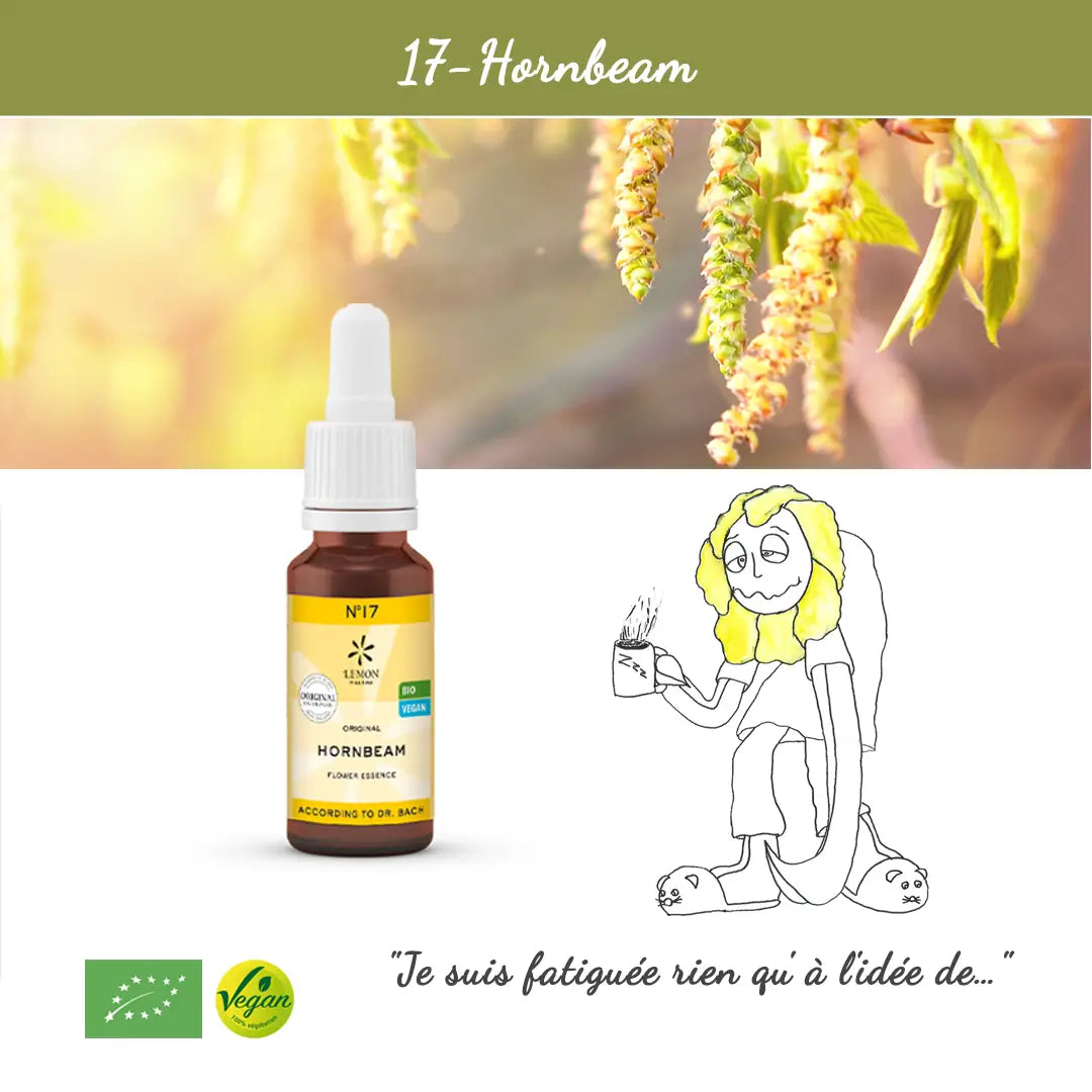 17. Hornbeam