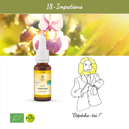 18. Impatiens
