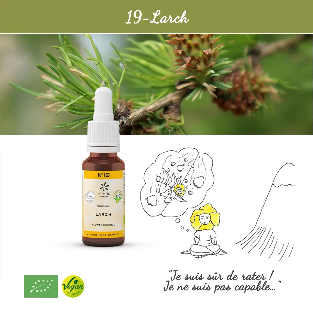 19. Larch