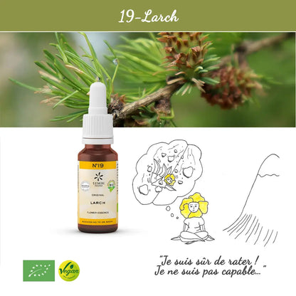 19. Larch