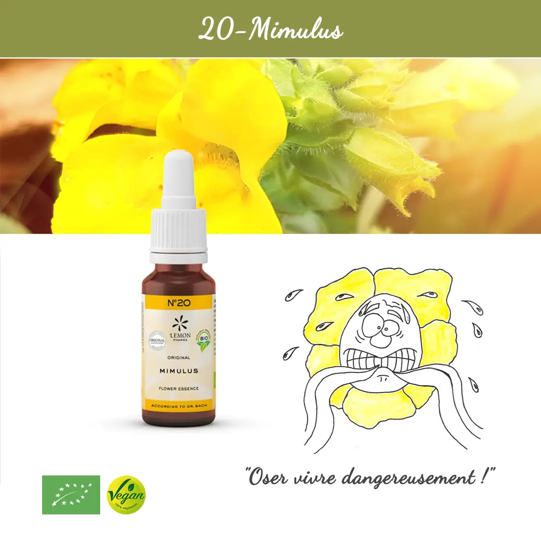 20. Mimulus