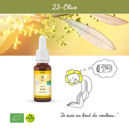 23. Olive