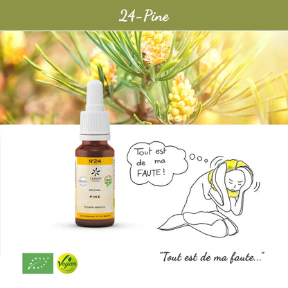 24. Pine