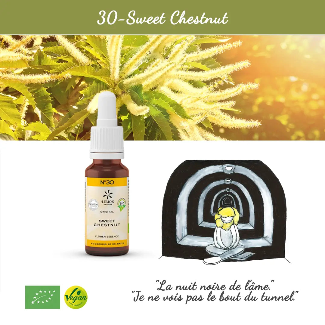 30. Sweet Chestnut