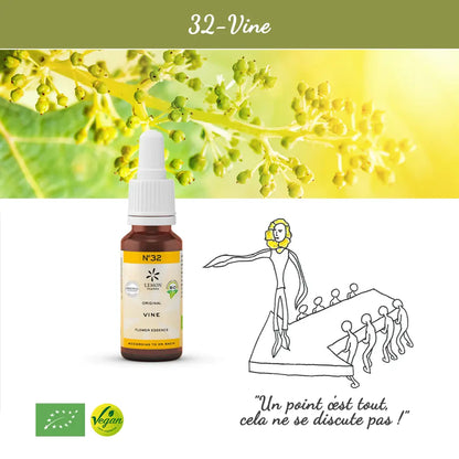 32. Vine