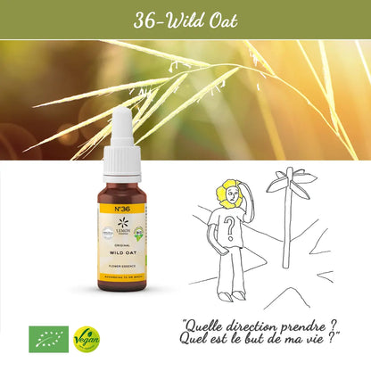 36. Wild Oat