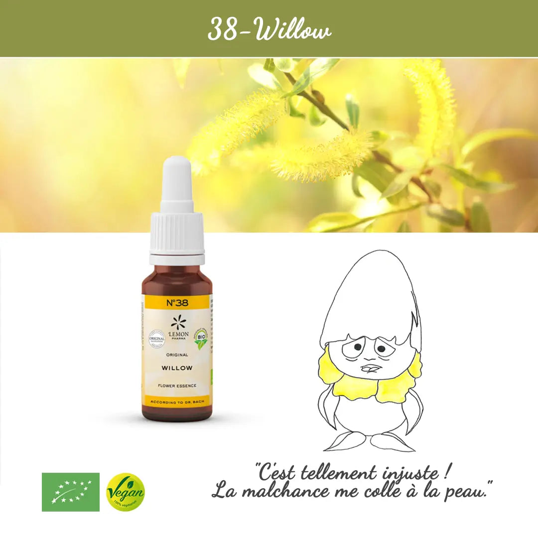 38. Willow