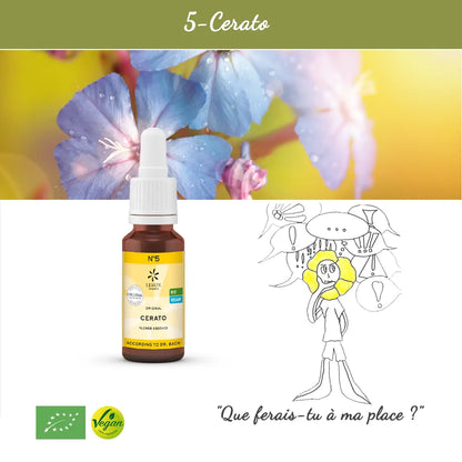 5. Cerato