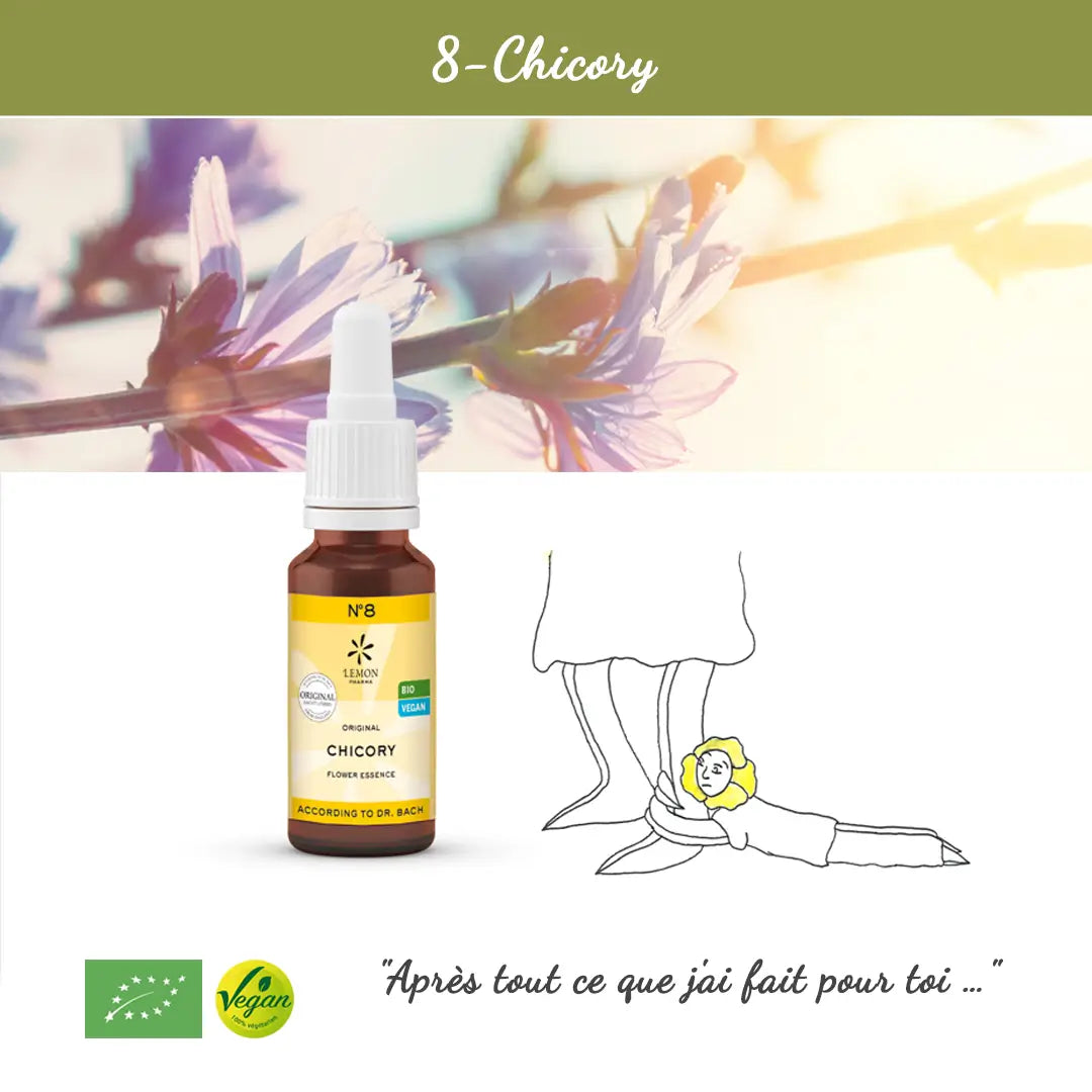 8. Chicory