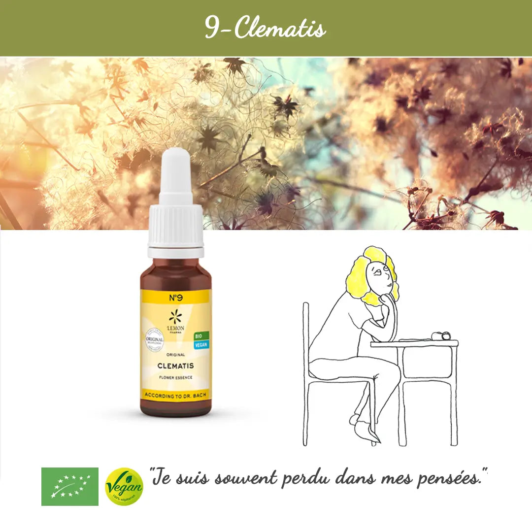 9. Clematis