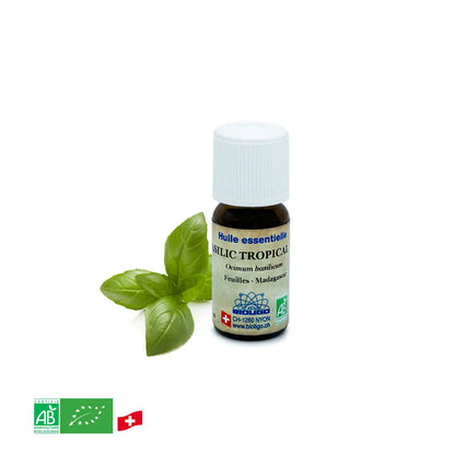 Basilic - Huile essentielle BIO
