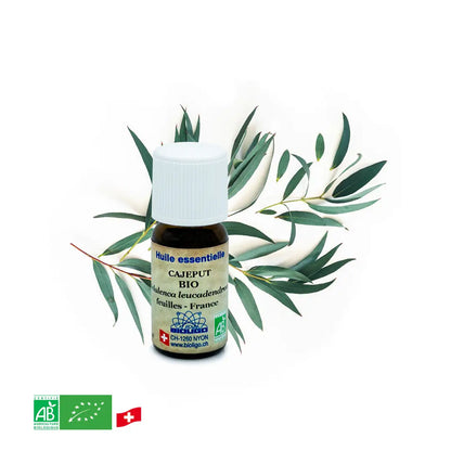 Cajeput - Huile essentielle BIO