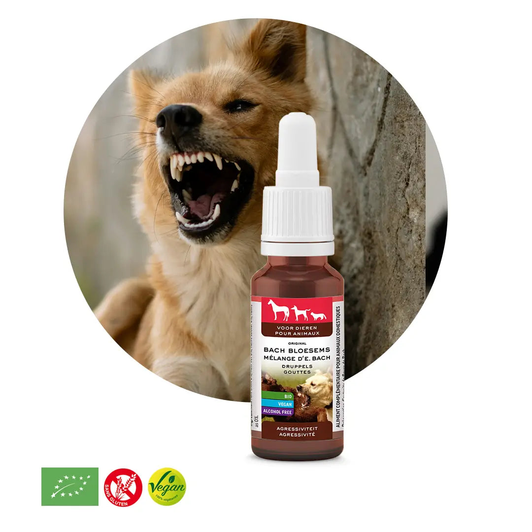 Elixir animaux agressivité