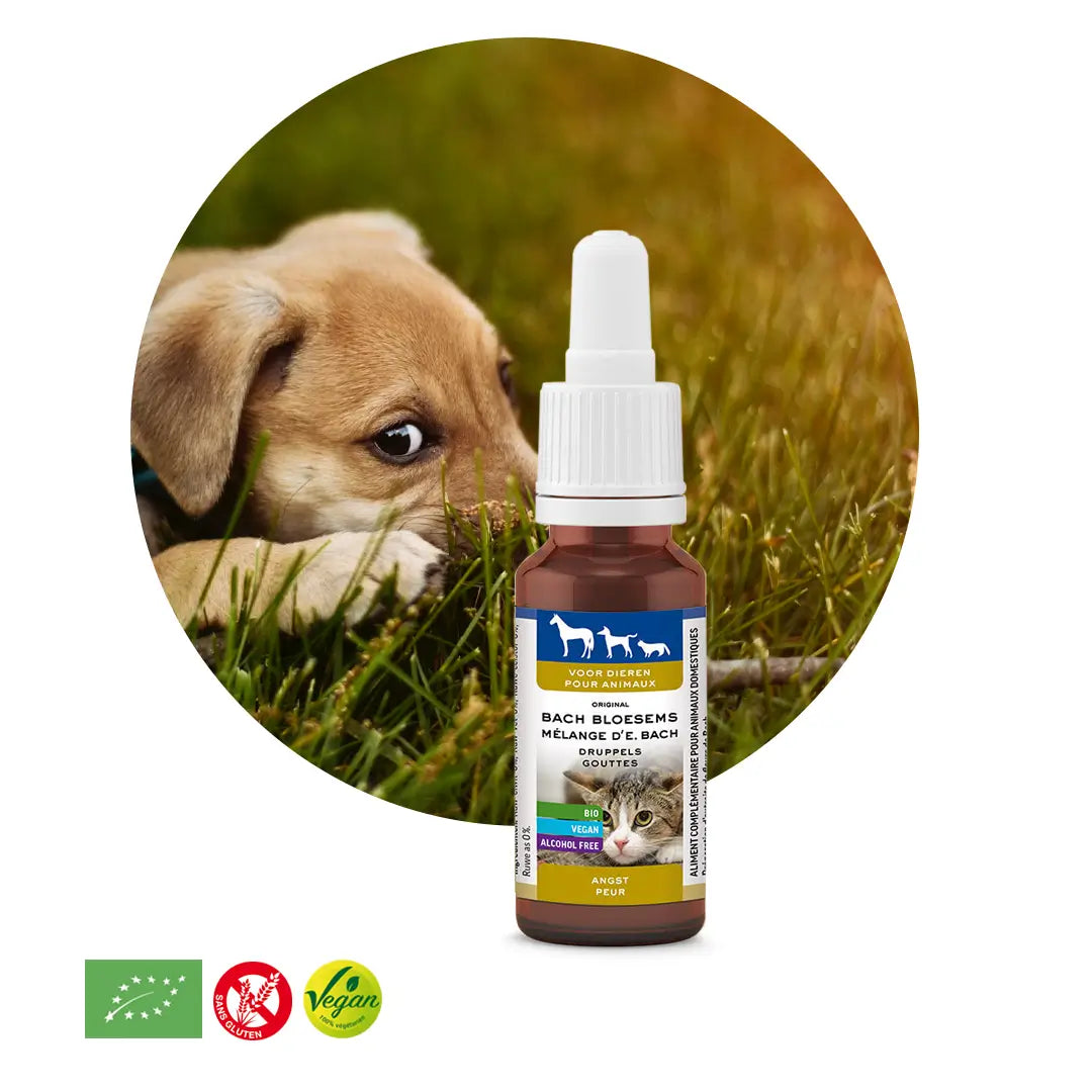 Elixir animaux peur
