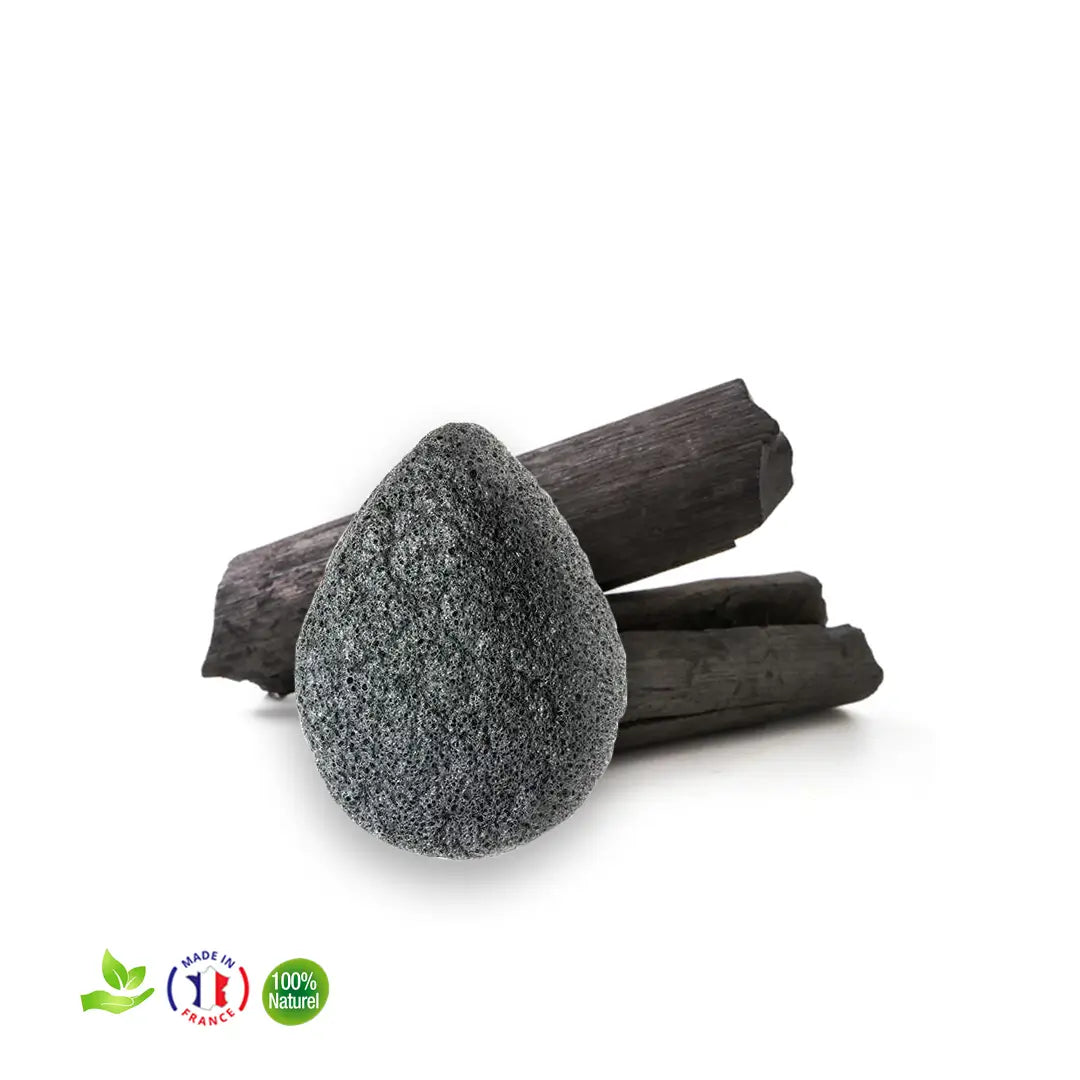 Eponges konjac Charbon