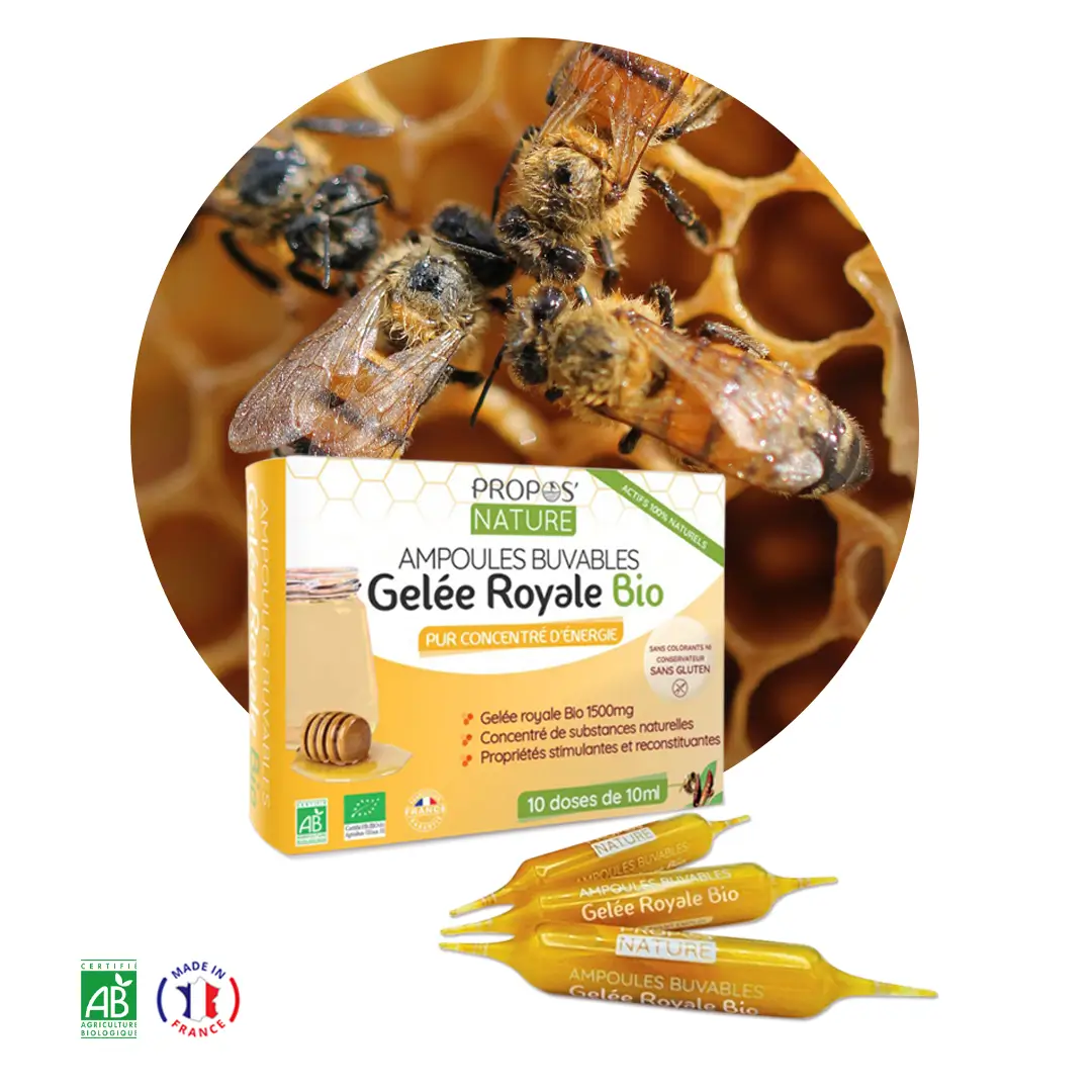 Renfort immunité en PROMO