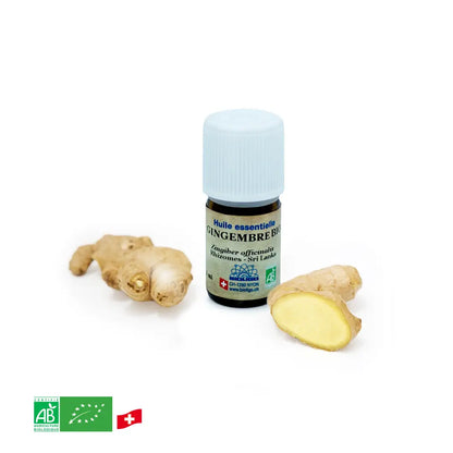 Gingembre - Huile essentielle BIO