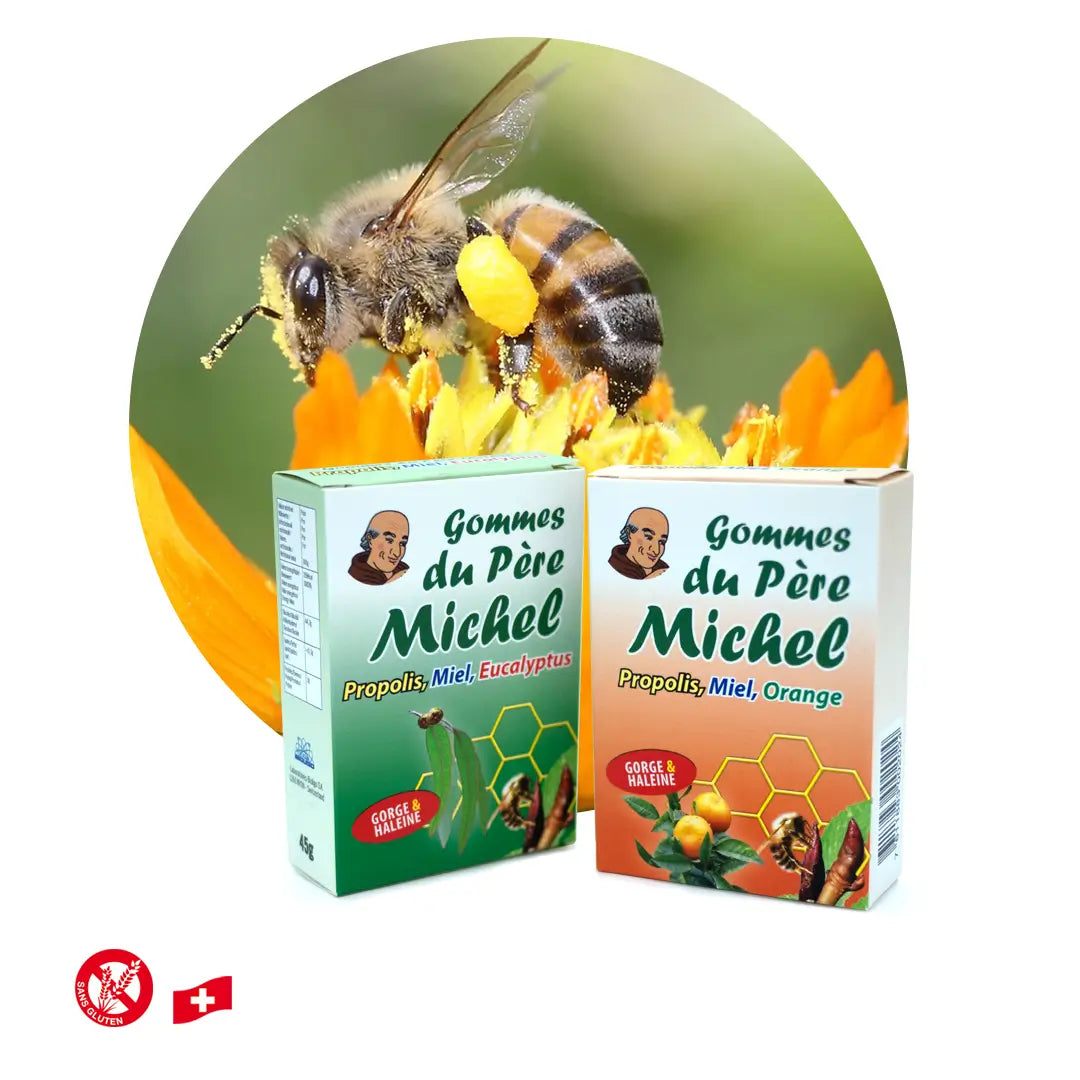 Gommes du Père Michel