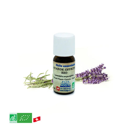 Echter Lavendel – Bio-Ätherisches Öl
