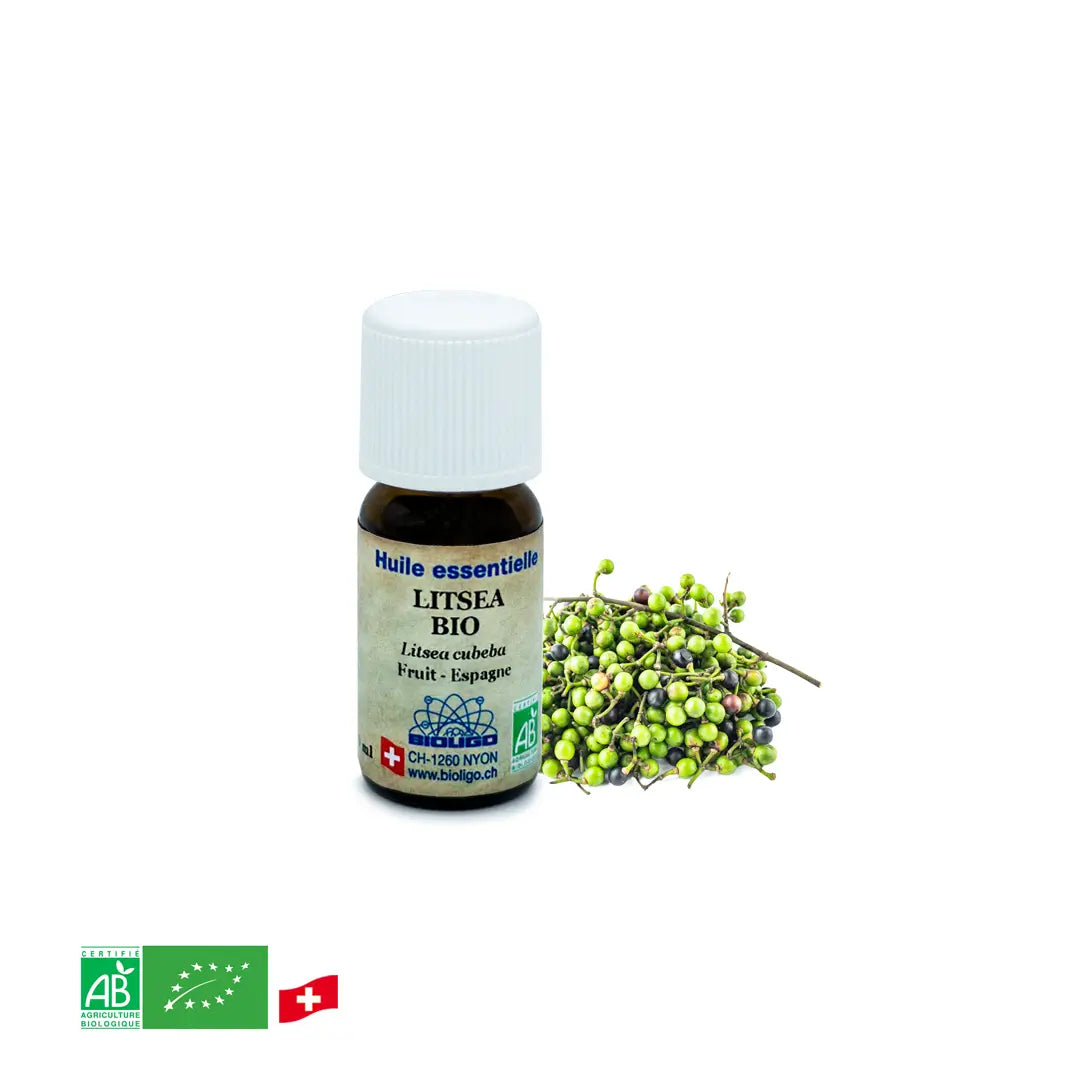Litsea BIO