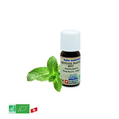Menthe poivree - Huile essentielle BIO