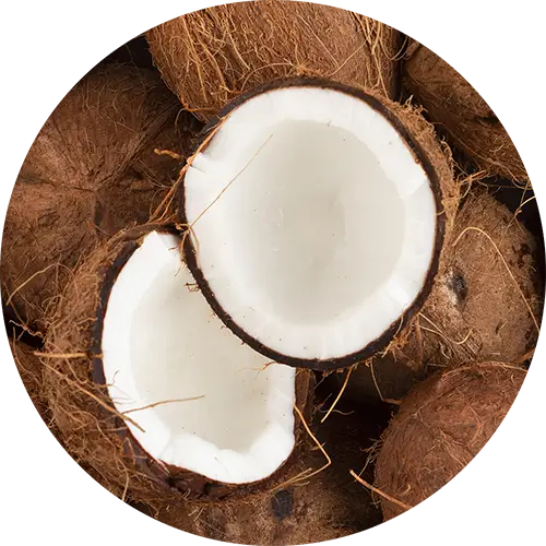 Pack soins à la Coco Bio en PROMO