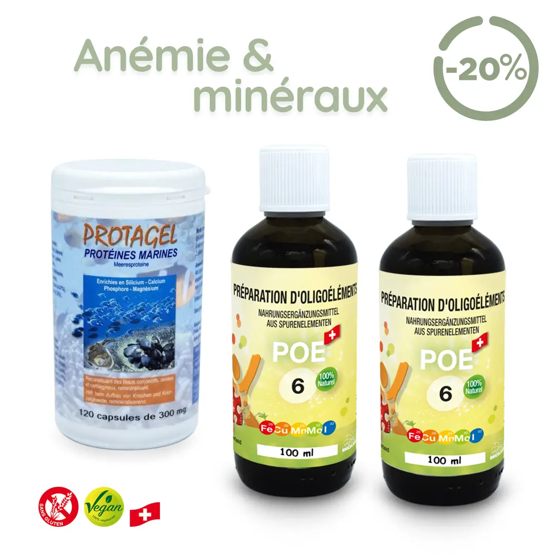 Anémie &amp; minéraux