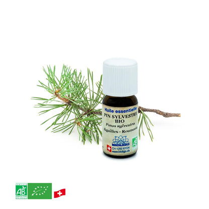 Pin sylvestre - Huile essentielle BIO