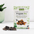 Propolis à mâcher Bio