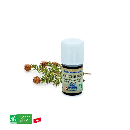 Pruche - Huile essentielle BIO