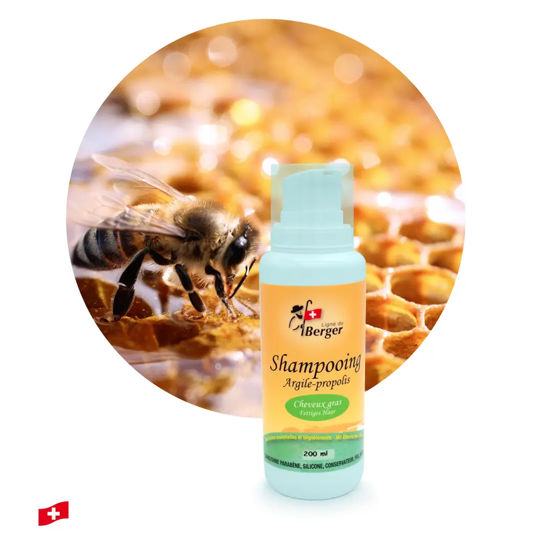 Shampoing Argile-Propolis
