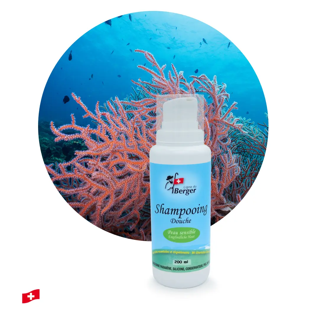 Shampoing-Douche