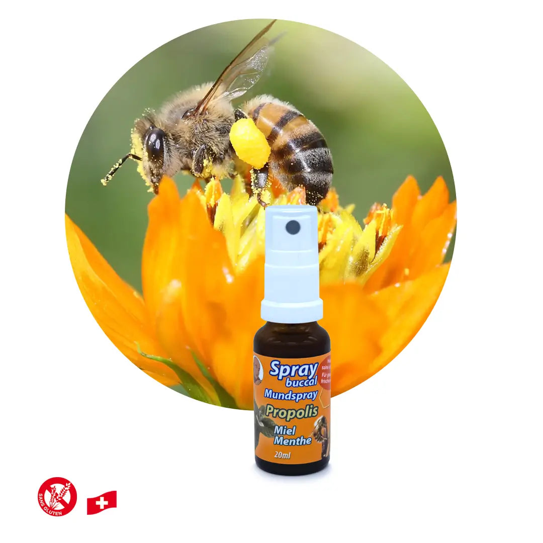 Spray buccal Père Michel