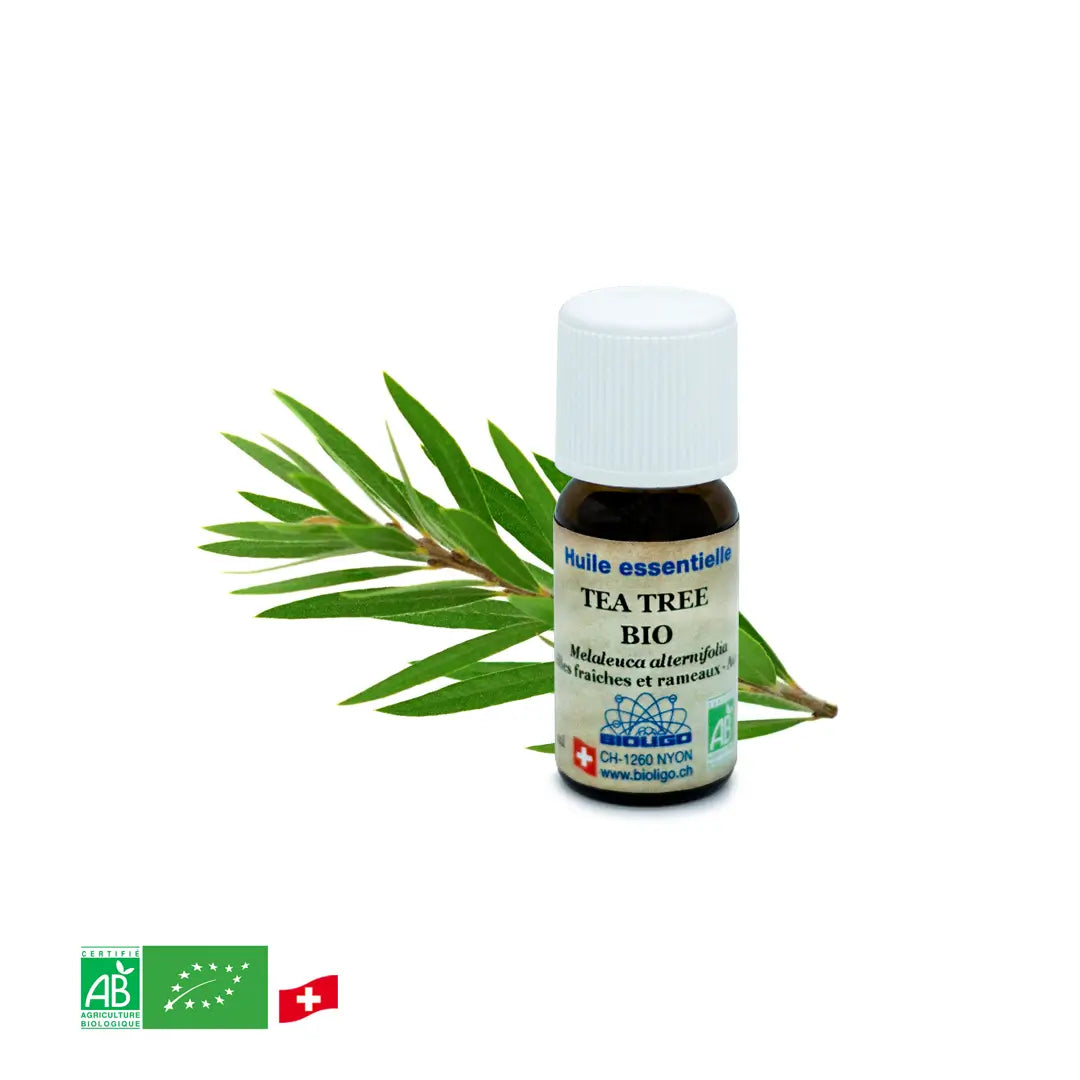 Organic tea tree
