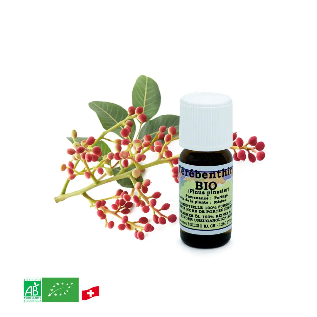 Térébenthine - Huile essentielle BIO