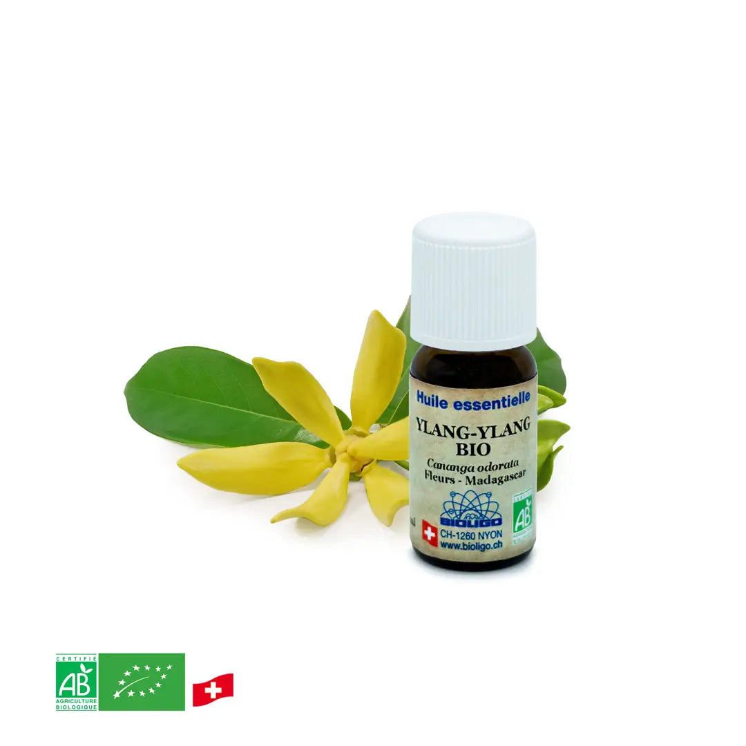 Organic Ylang-Ylang