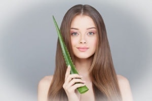 L'Aloe vera, source de santé Laboratoire Bioligo